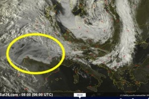 EXPEDICION  ORGONITA 2012: REPARTIENDO POR EL MAR CANTABRICO Y GALICIA