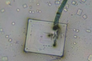 La Orgonita Impide el Auto-Ensamblaje de Nanotecnología Sintética
