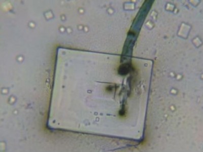 La Orgonita Impide el Auto-Ensamblaje de Nanotecnología Sintética