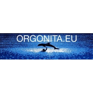 Orgonita
