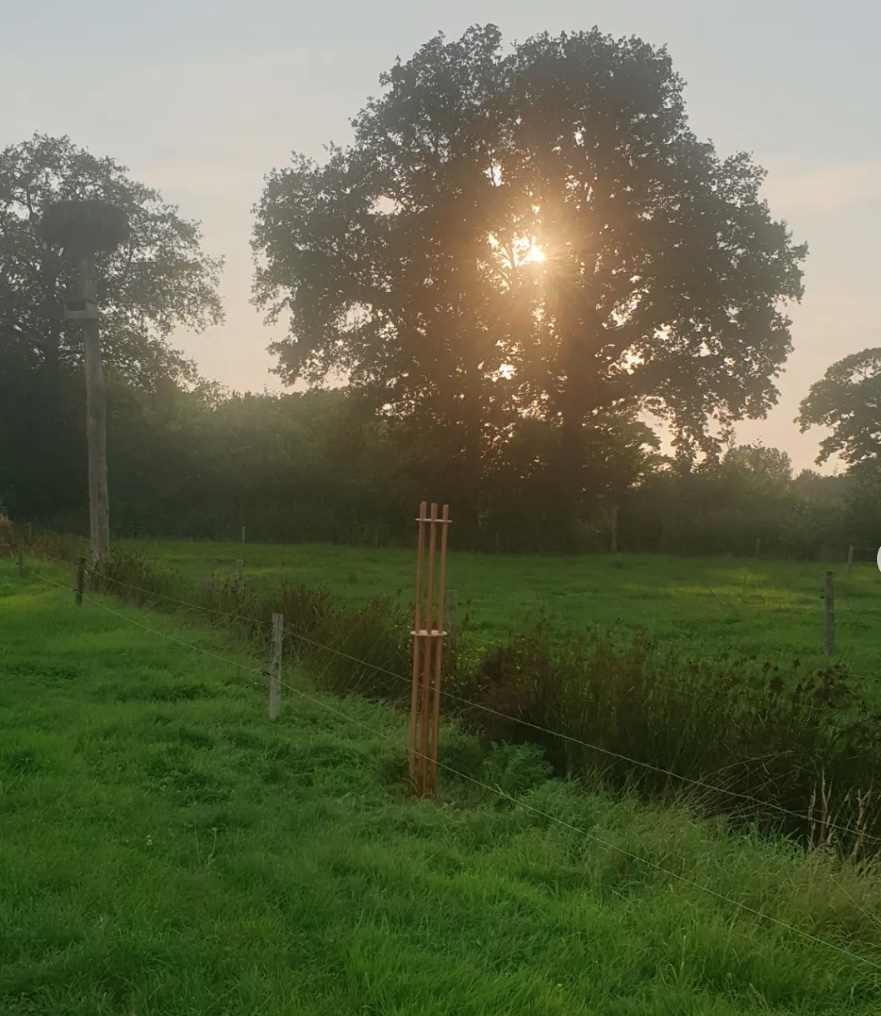 Rompenubes de orgonita instalado en exterior en Holanda, con tubos de cobre apuntando al cielo